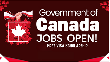Government of Canada Jobs